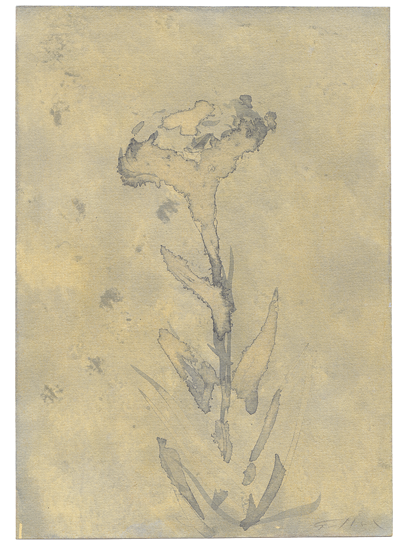 Original tuschtegning / 14,5 x 20,5 cm