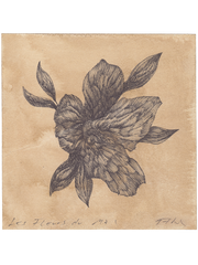 Original Ink Drawing / 15 x 15 cm